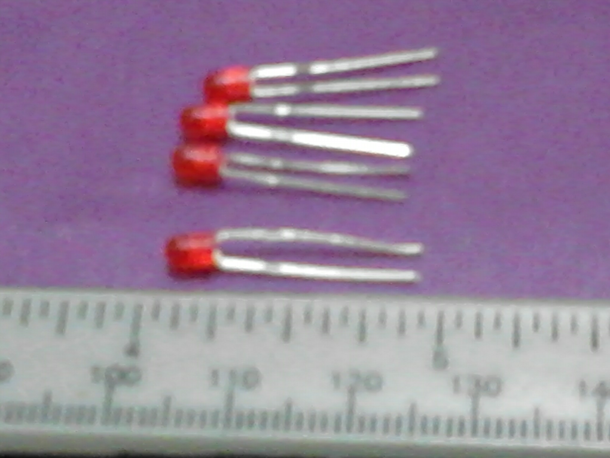 IMG201.jpg