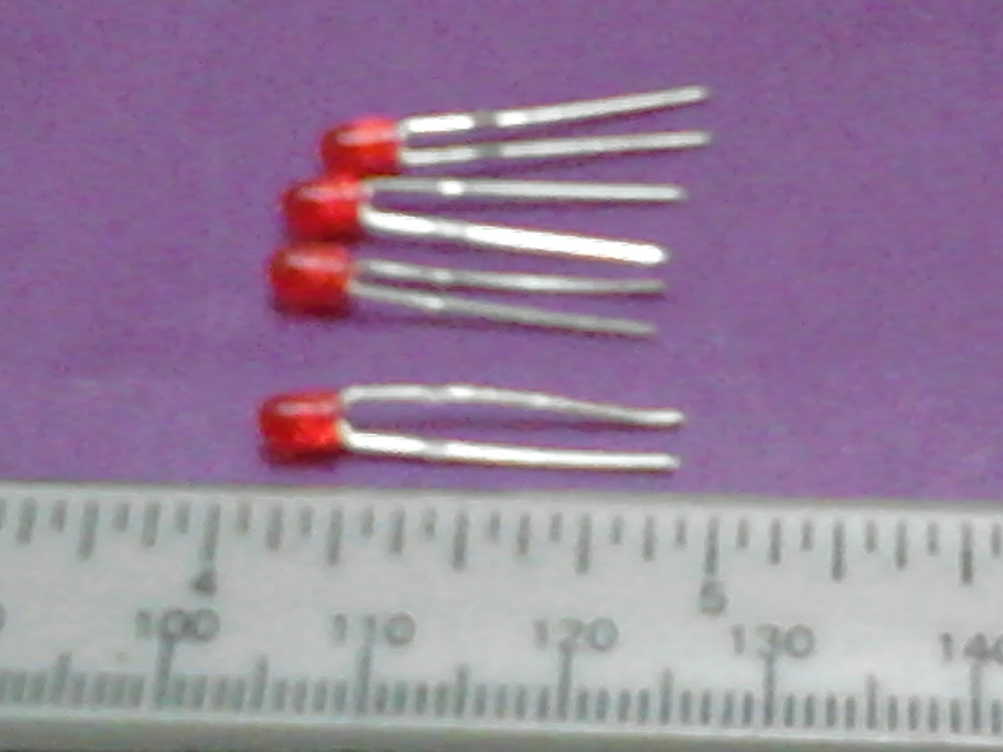 IMG202.jpg