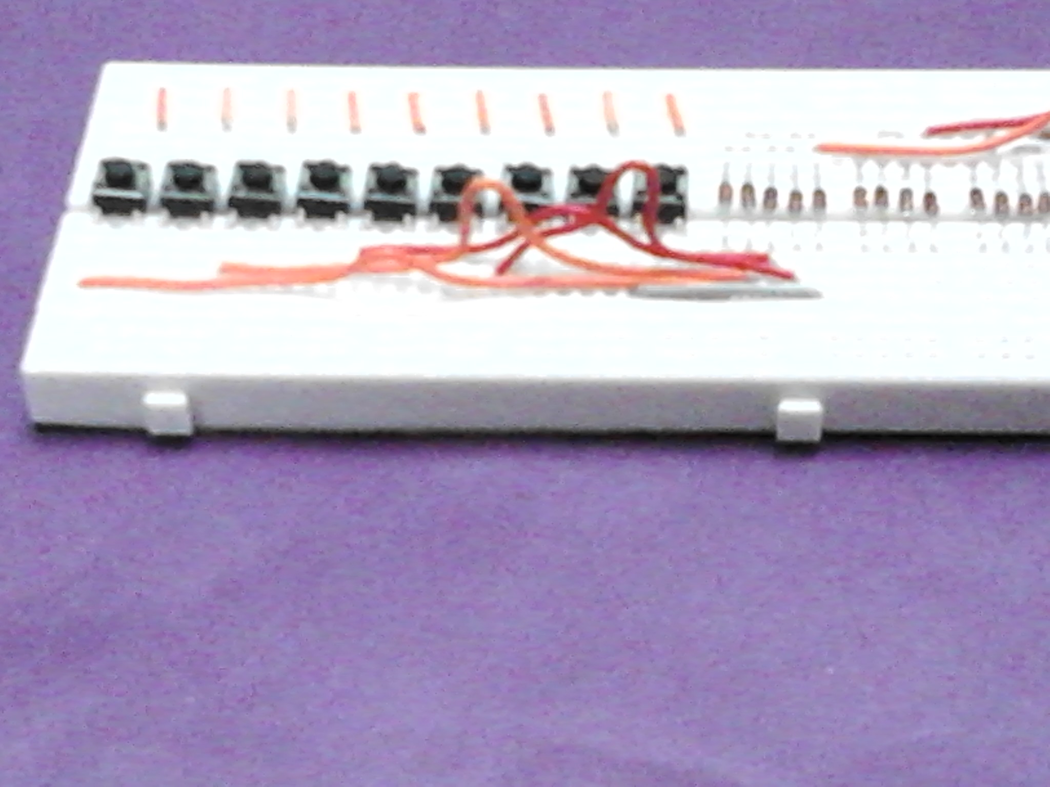 IMG211.jpg