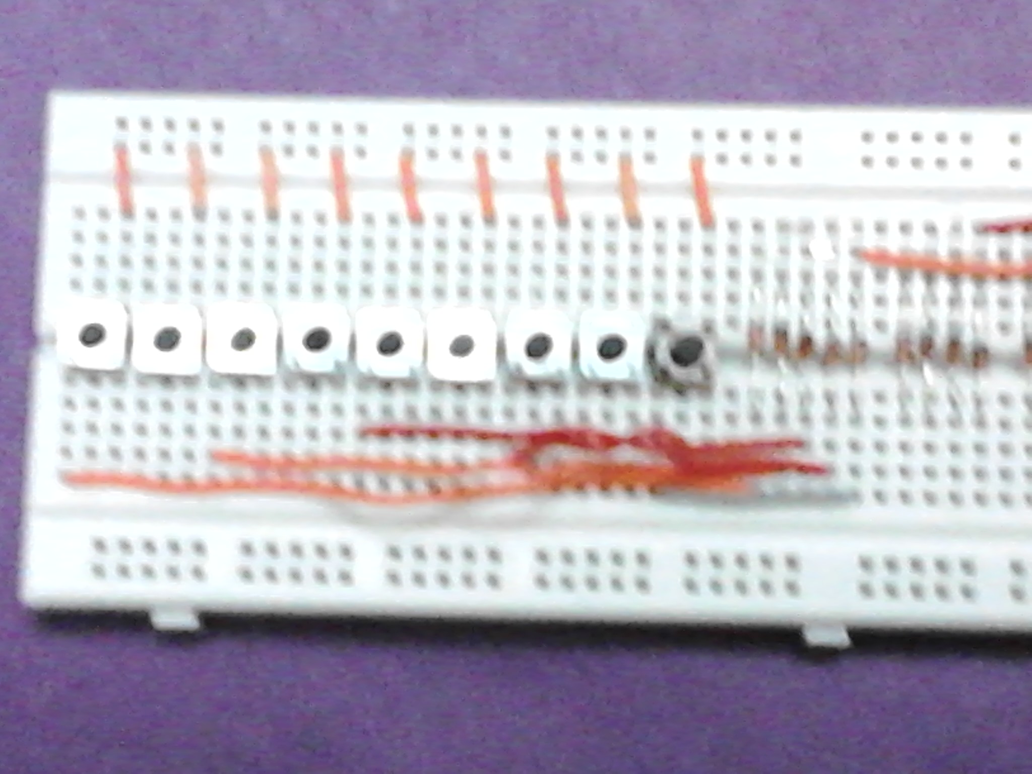 IMG215.jpg