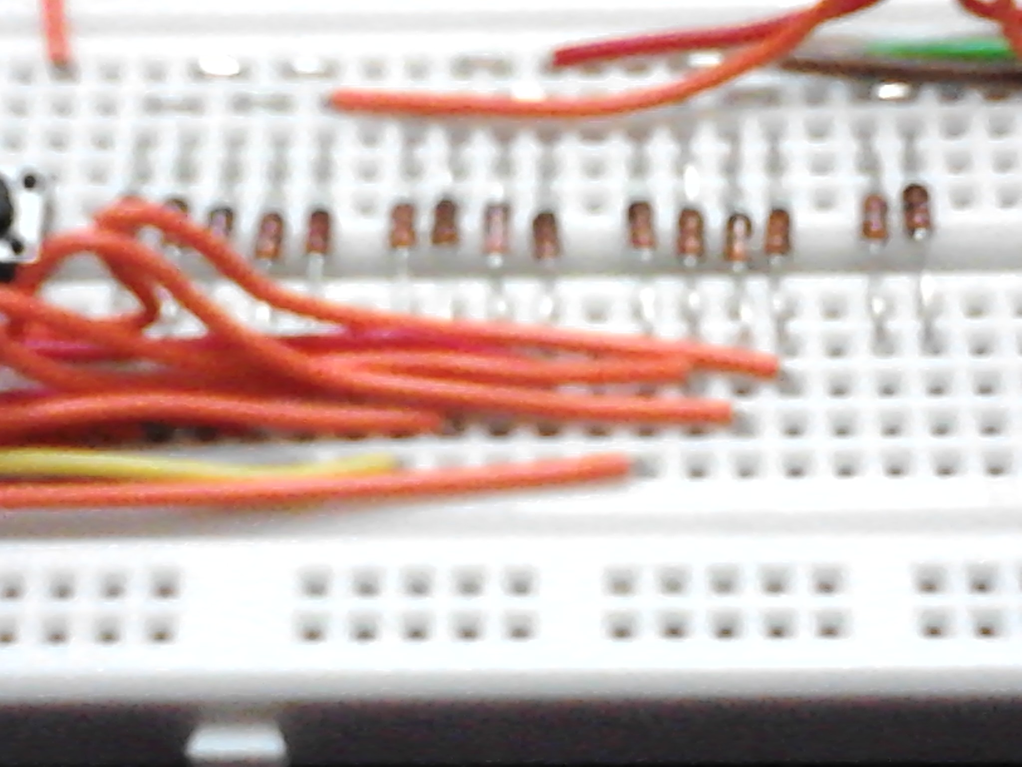 IMG221.jpg