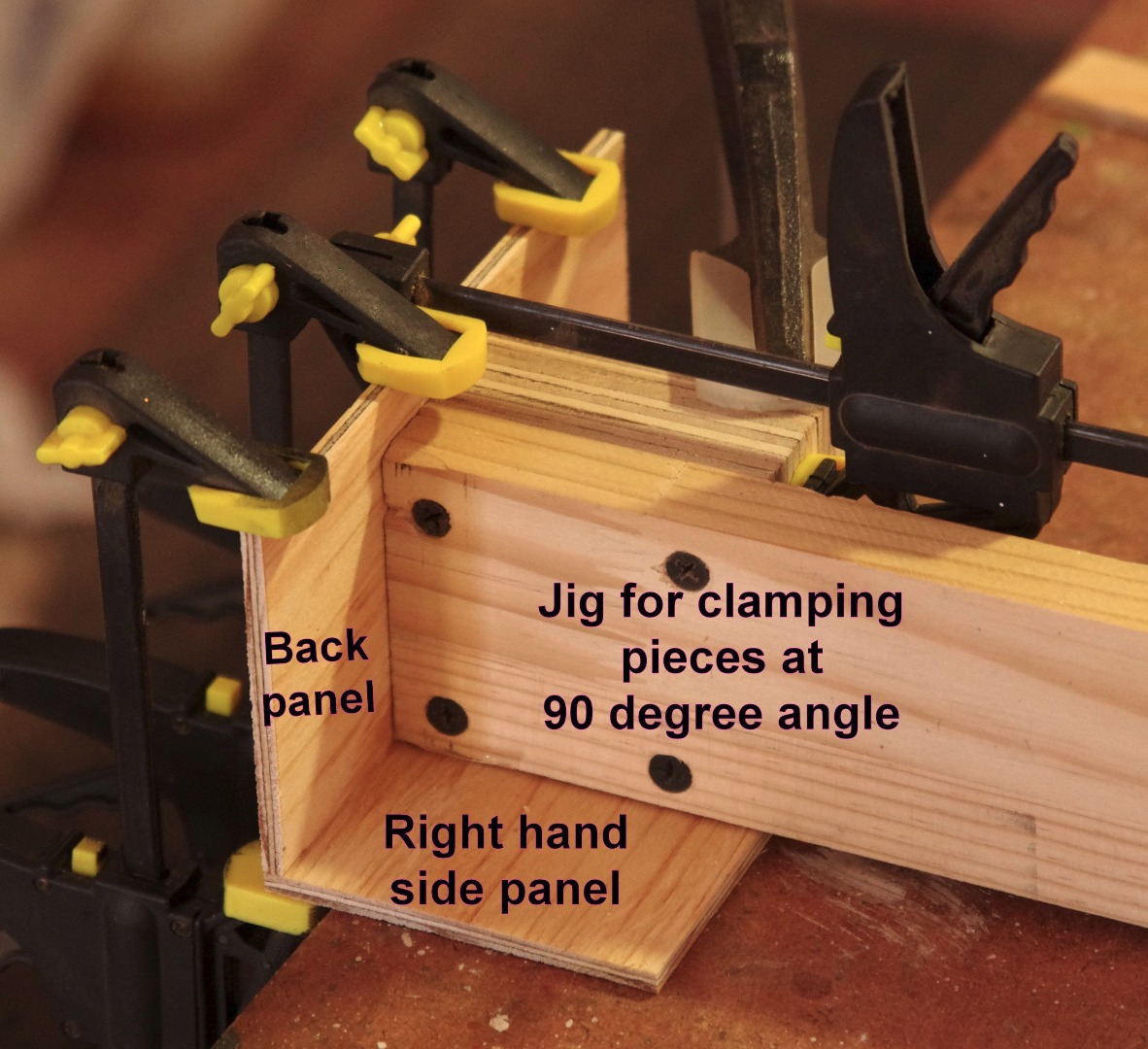 IMGP5449clamp.JPG