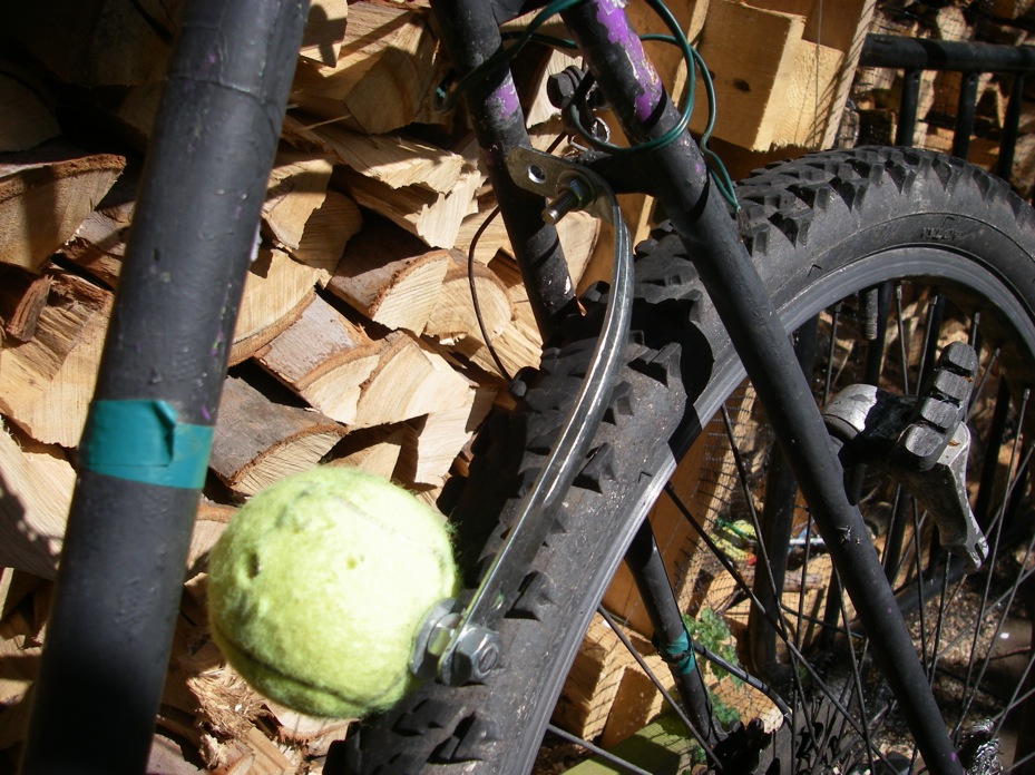 IMGP8321ballonbike.JPG