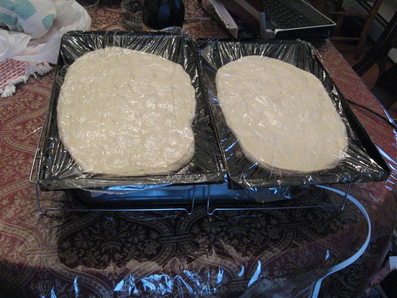IMG_0951 (Medium).jpg