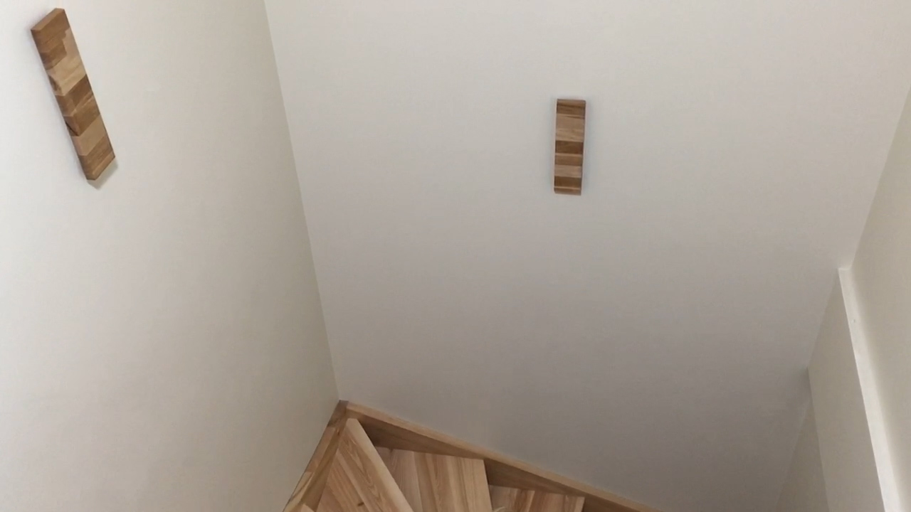 IMG_1144.MOV.Still065.jpg