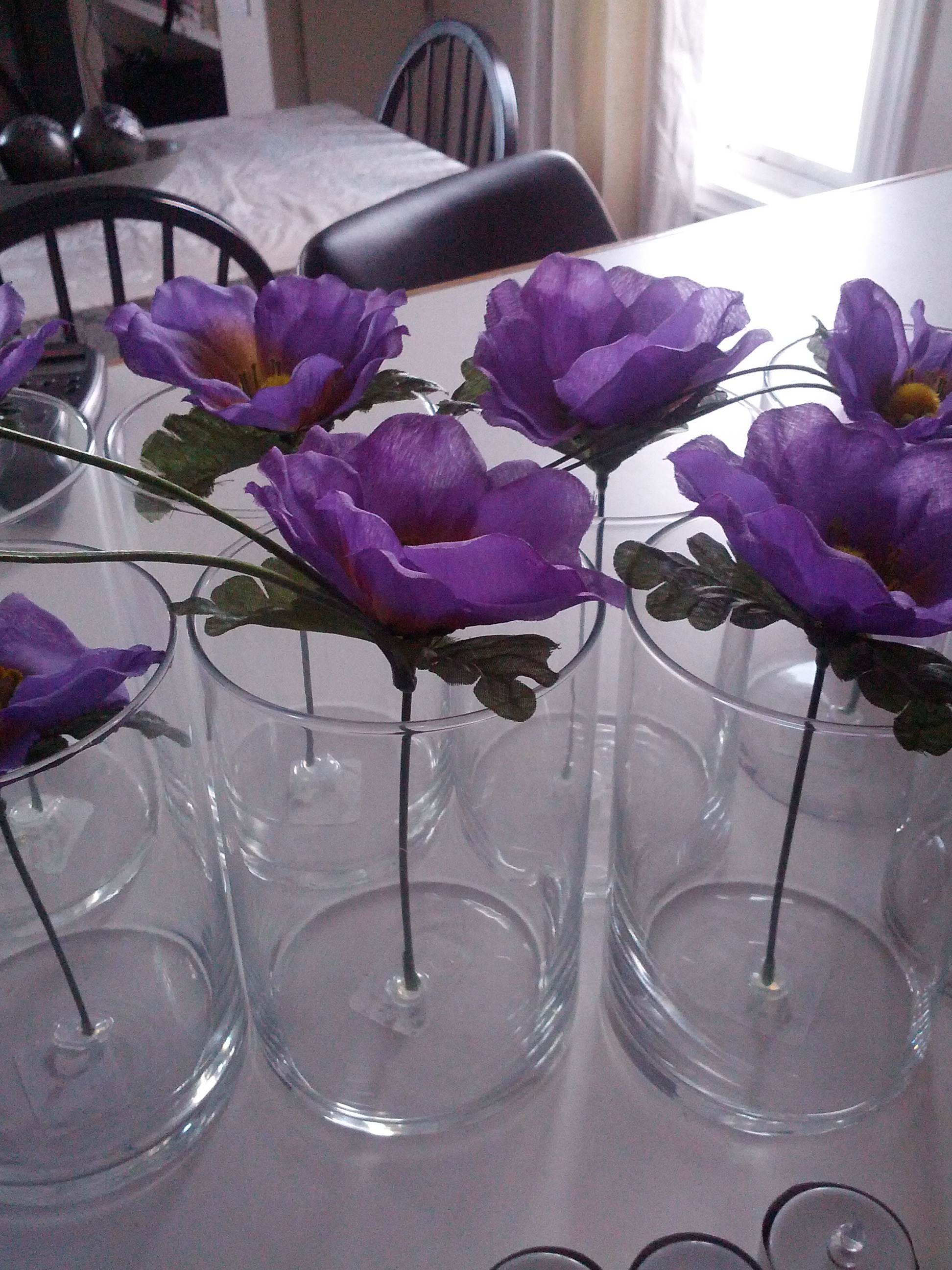 IMG_20130315_172900.jpg