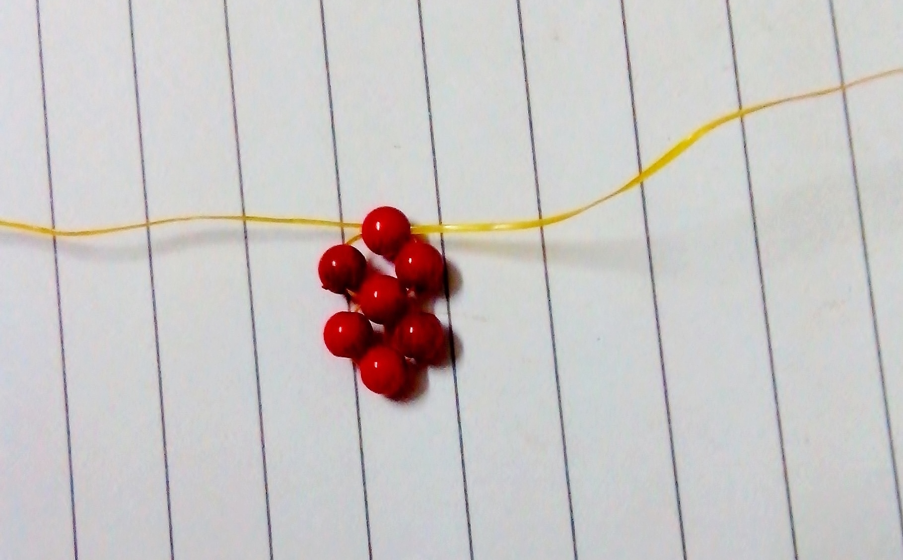IMG_20130610_164207.jpg