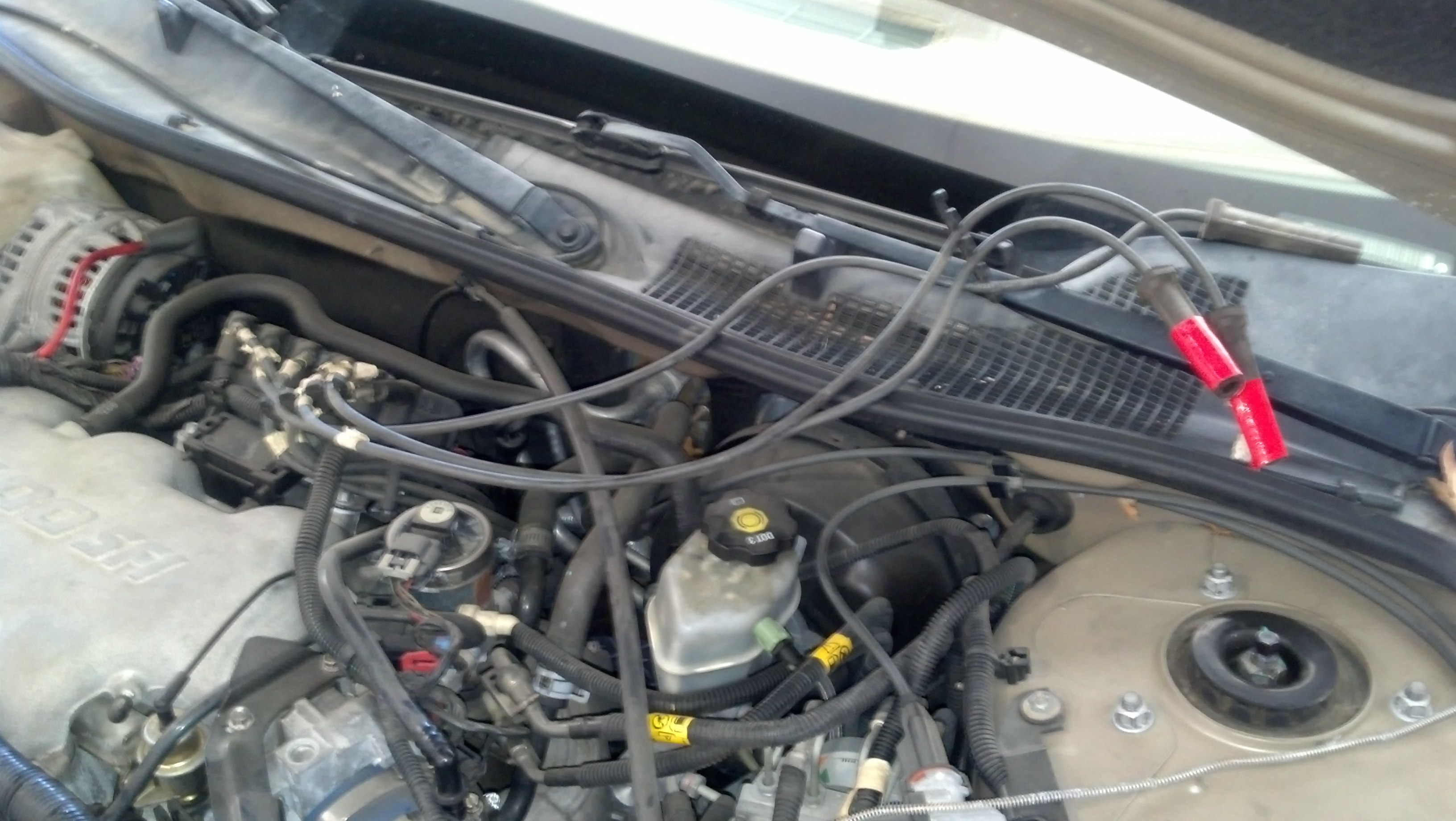 IMG_20131214_090501_664.jpg