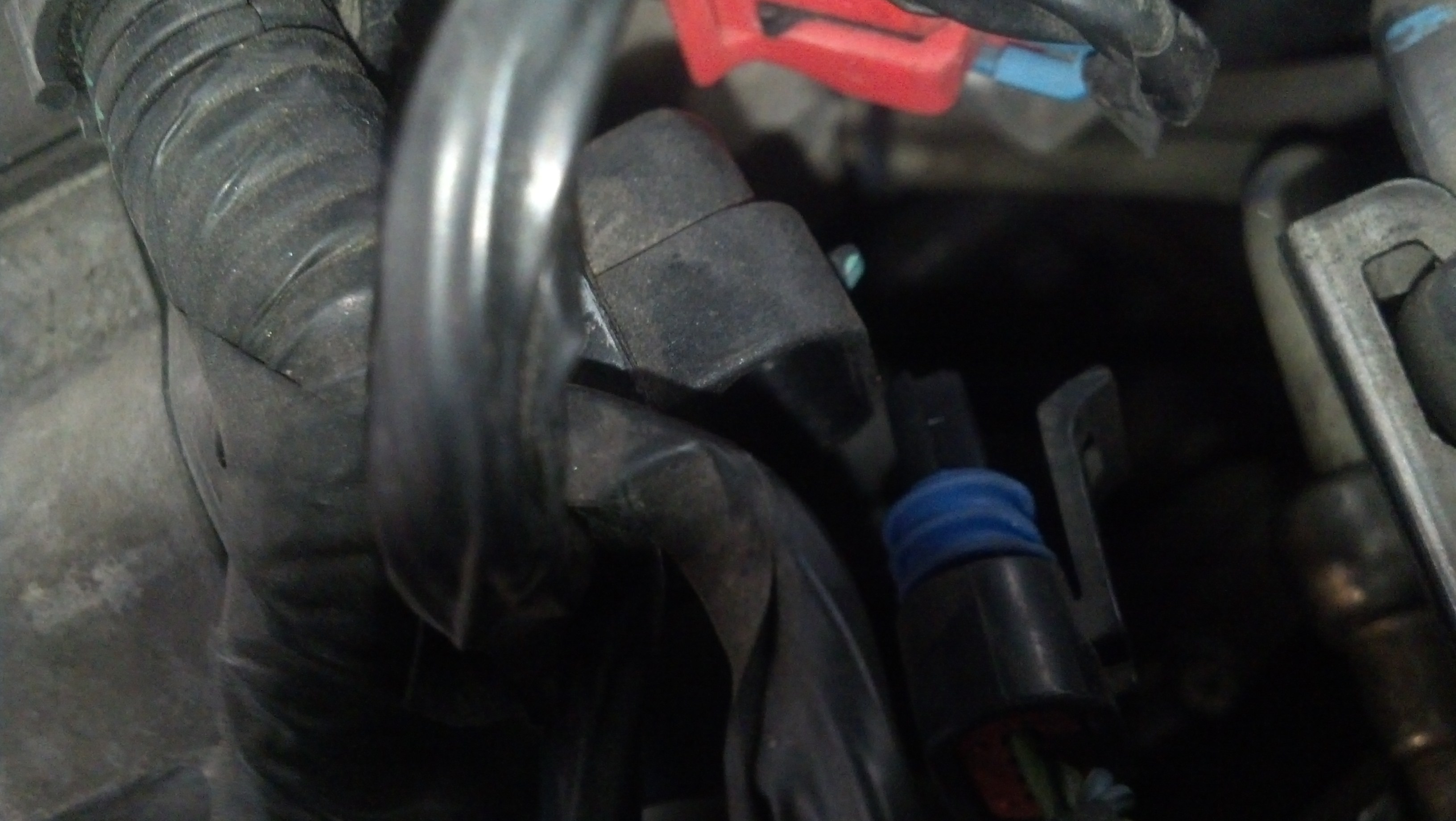 IMG_20131214_091756_715.jpg
