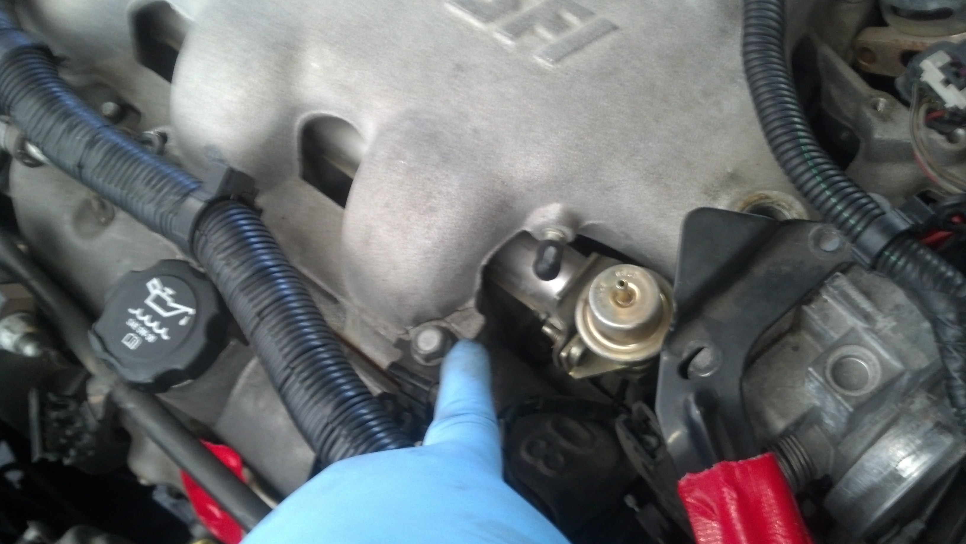 IMG_20131214_115553_990.jpg