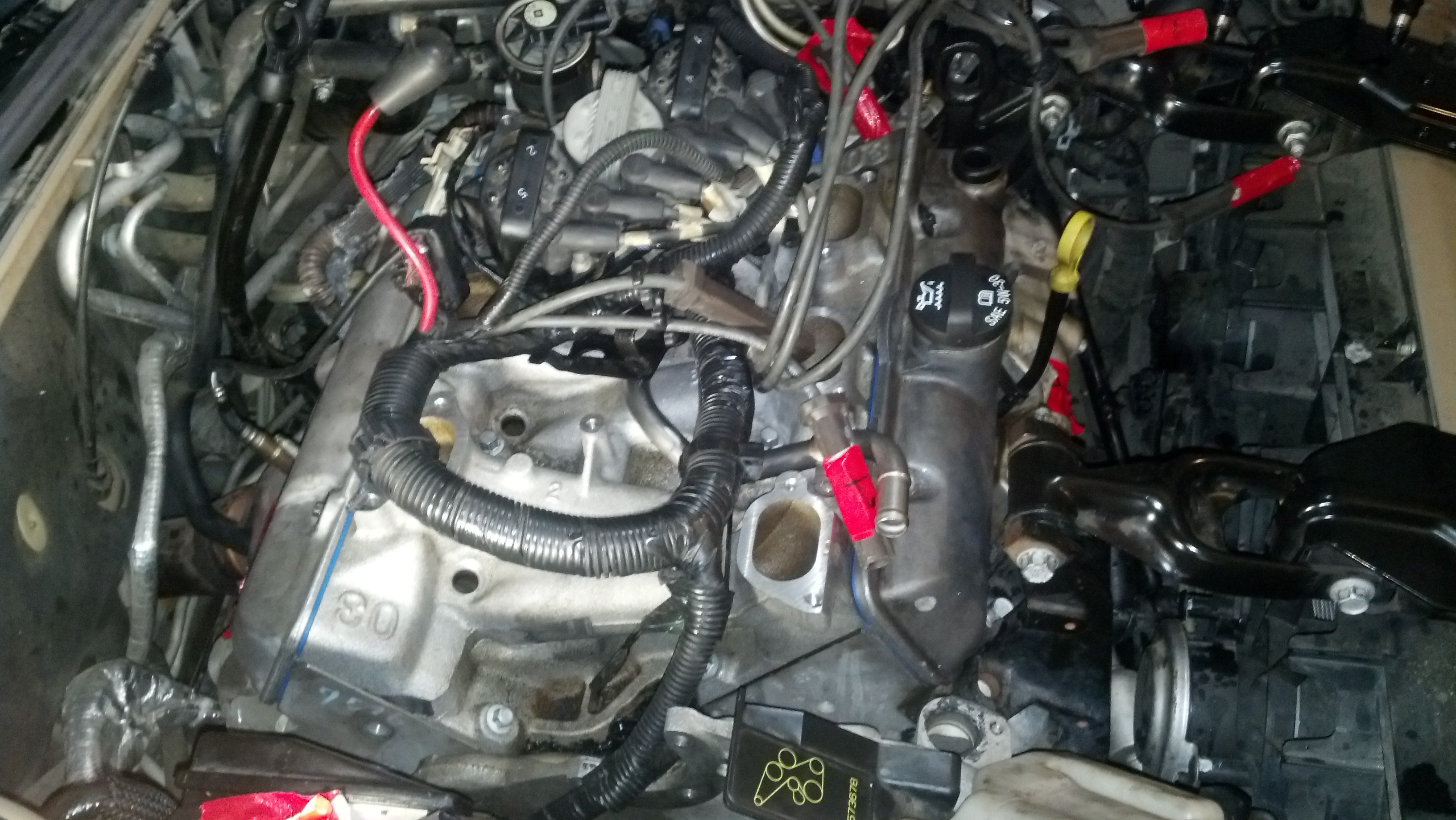 IMG_20131215_235516_009.jpg