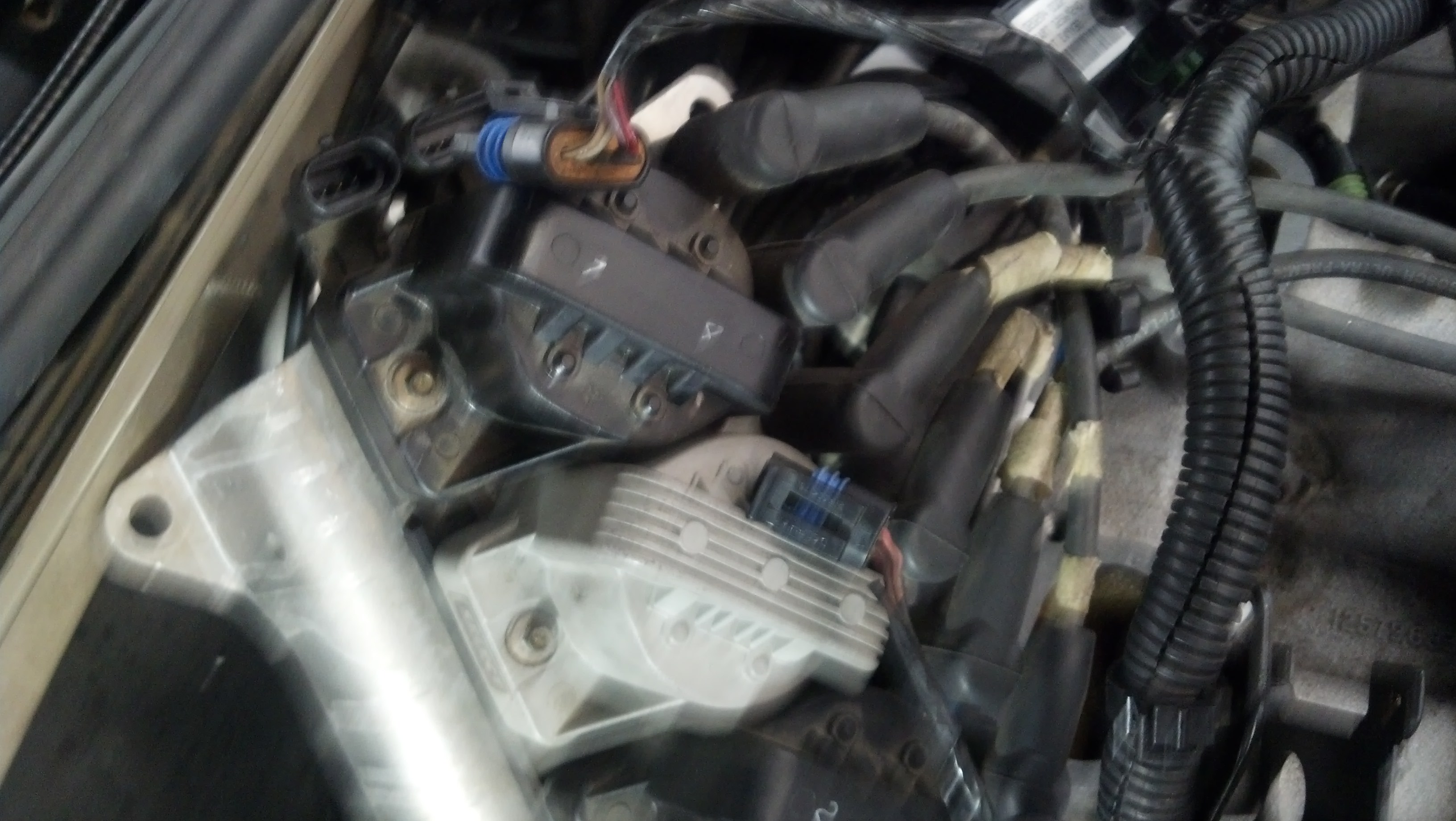 IMG_20131217_120508_044.jpg