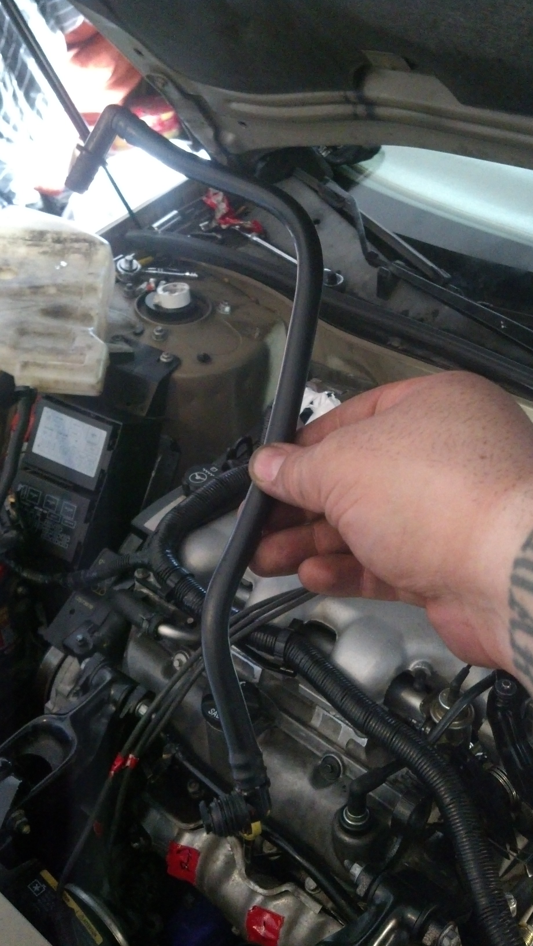 IMG_20131218_145816_360.jpg