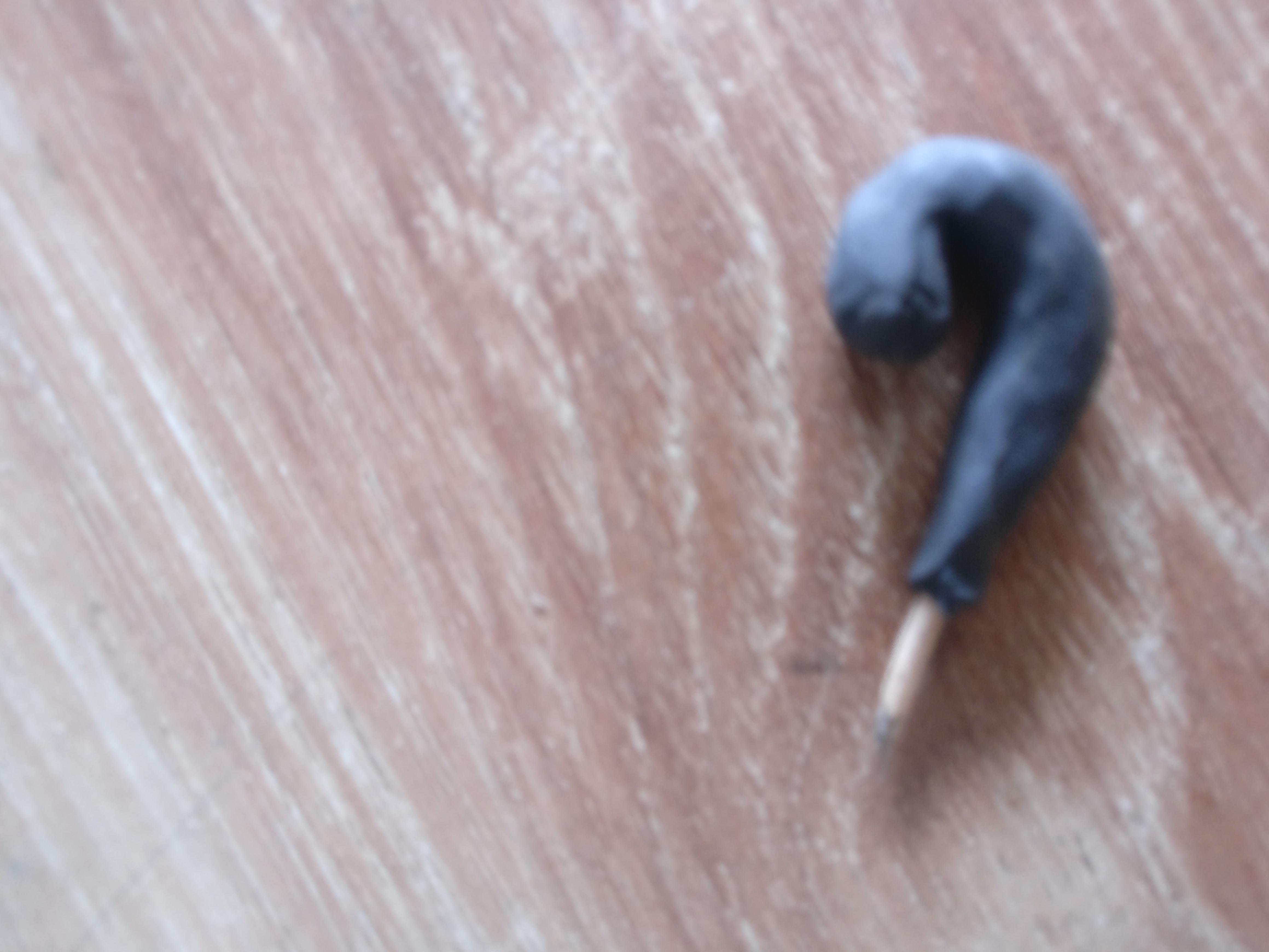 IMG_20200904_113314.jpg