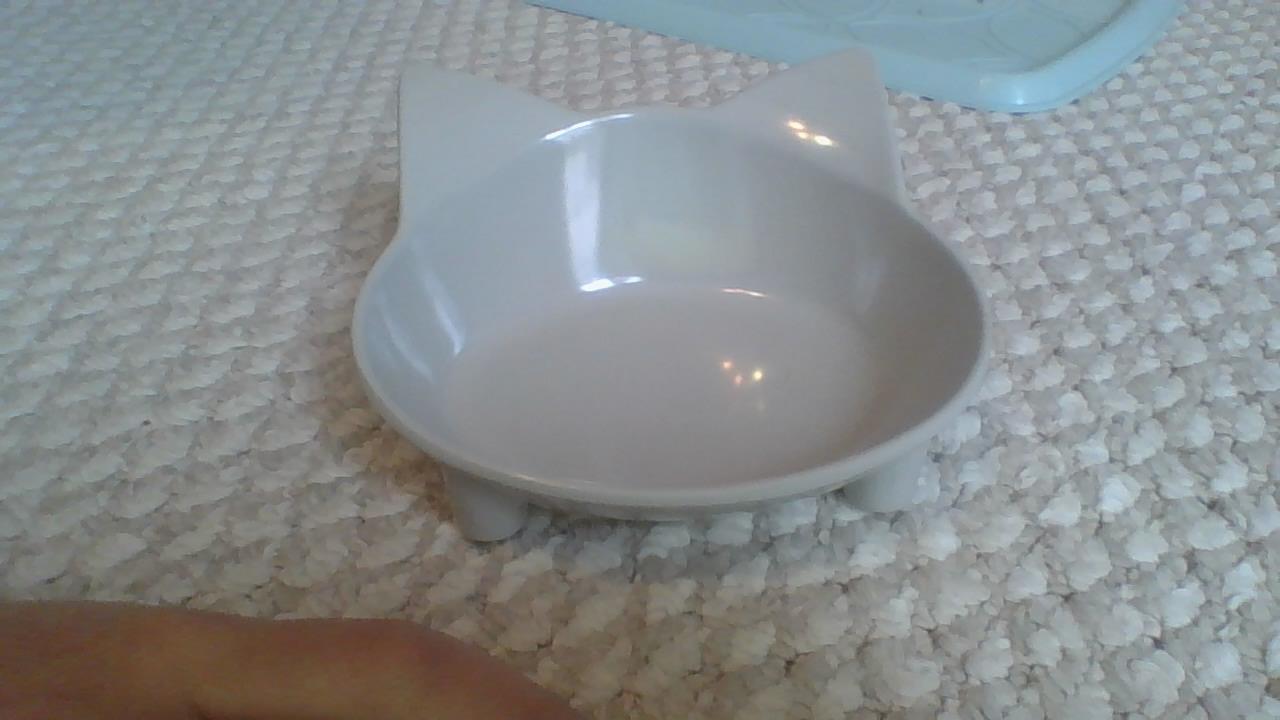 IMG_20210107_115951.jpg