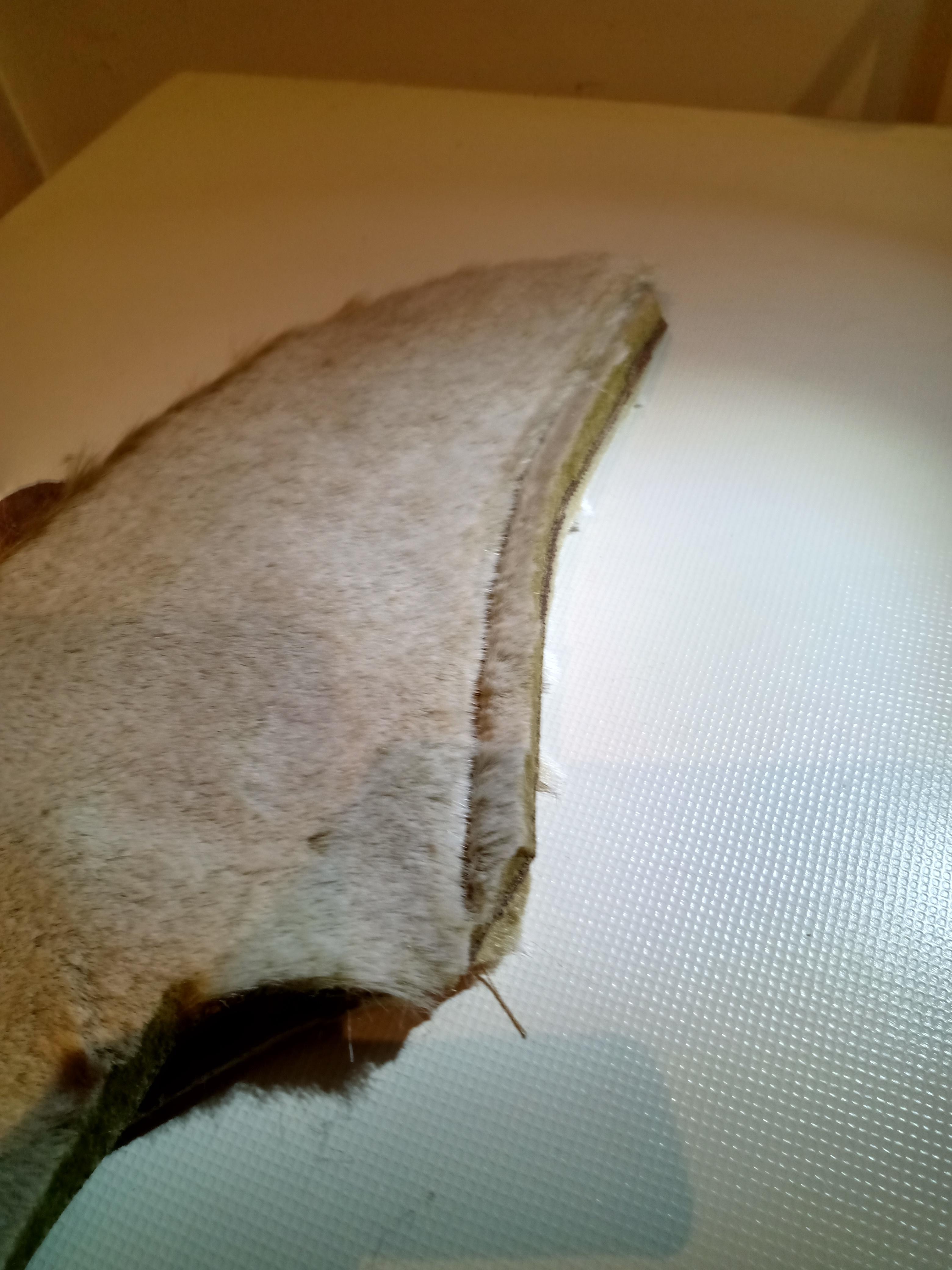 IMG_20210127_205544273_HDR.jpg