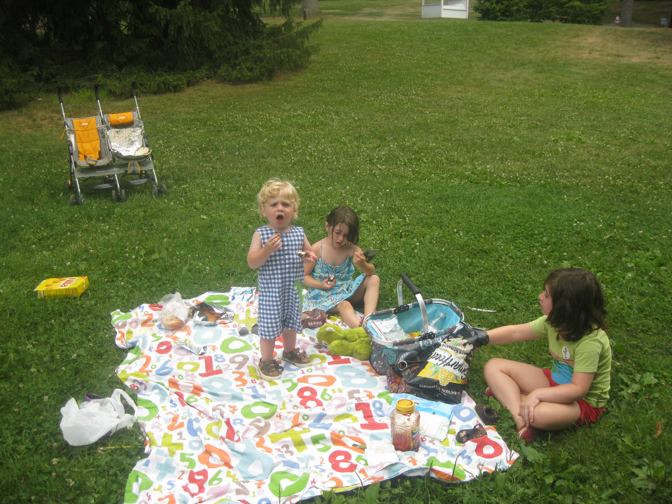IMG_2433.JPG