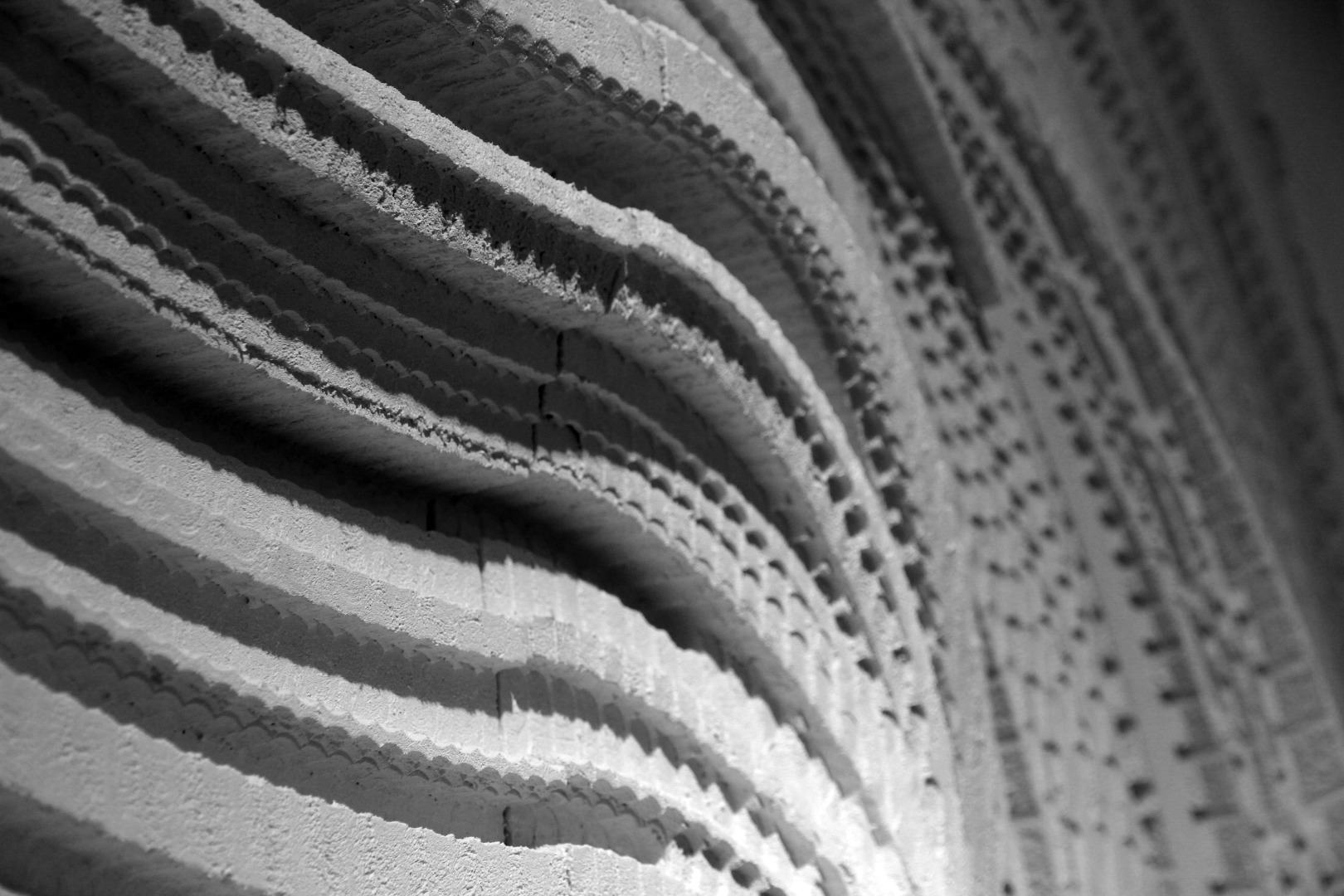 IMG_6860_bw.jpg
