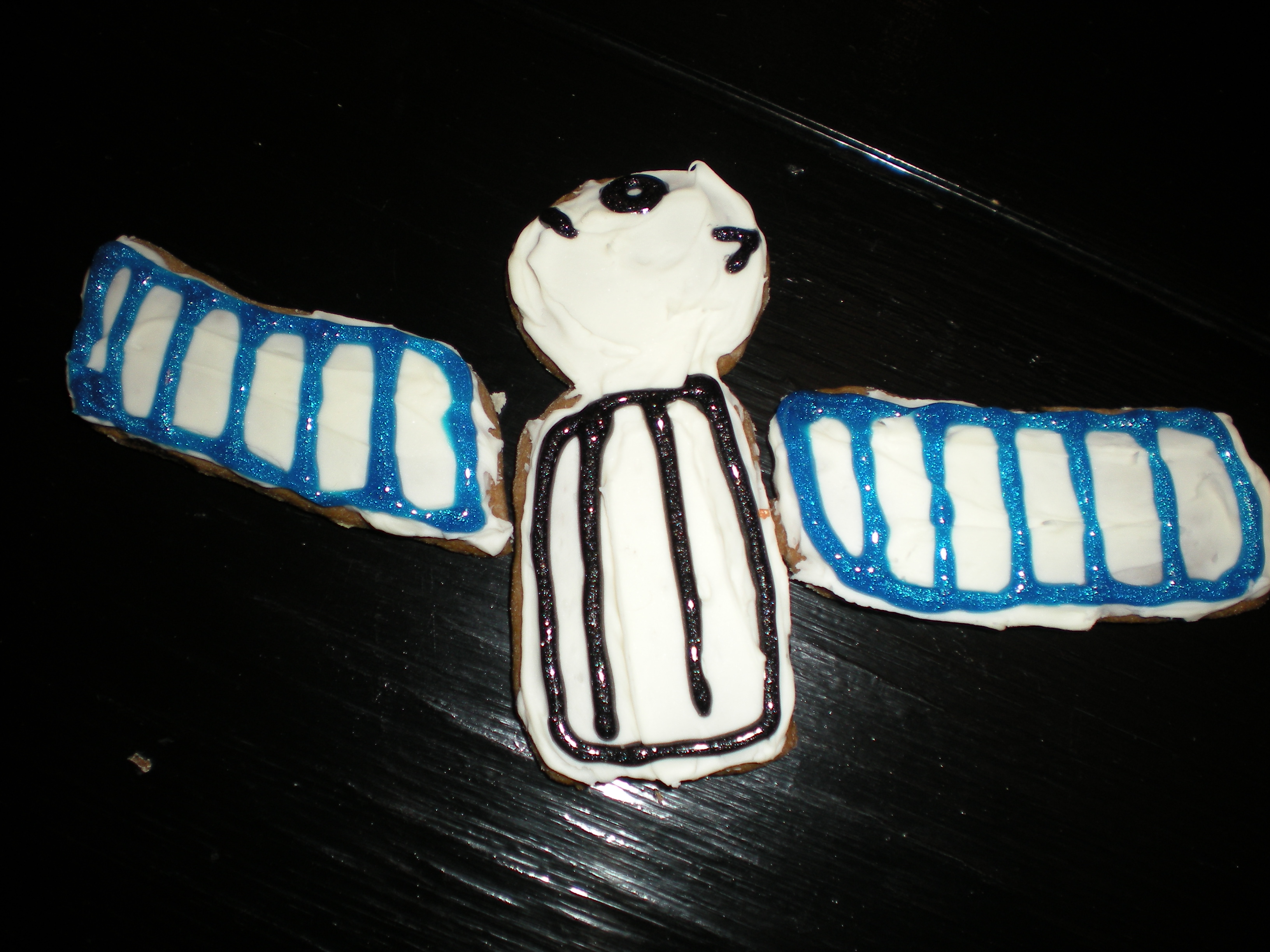 ISS Cookies 012.jpg