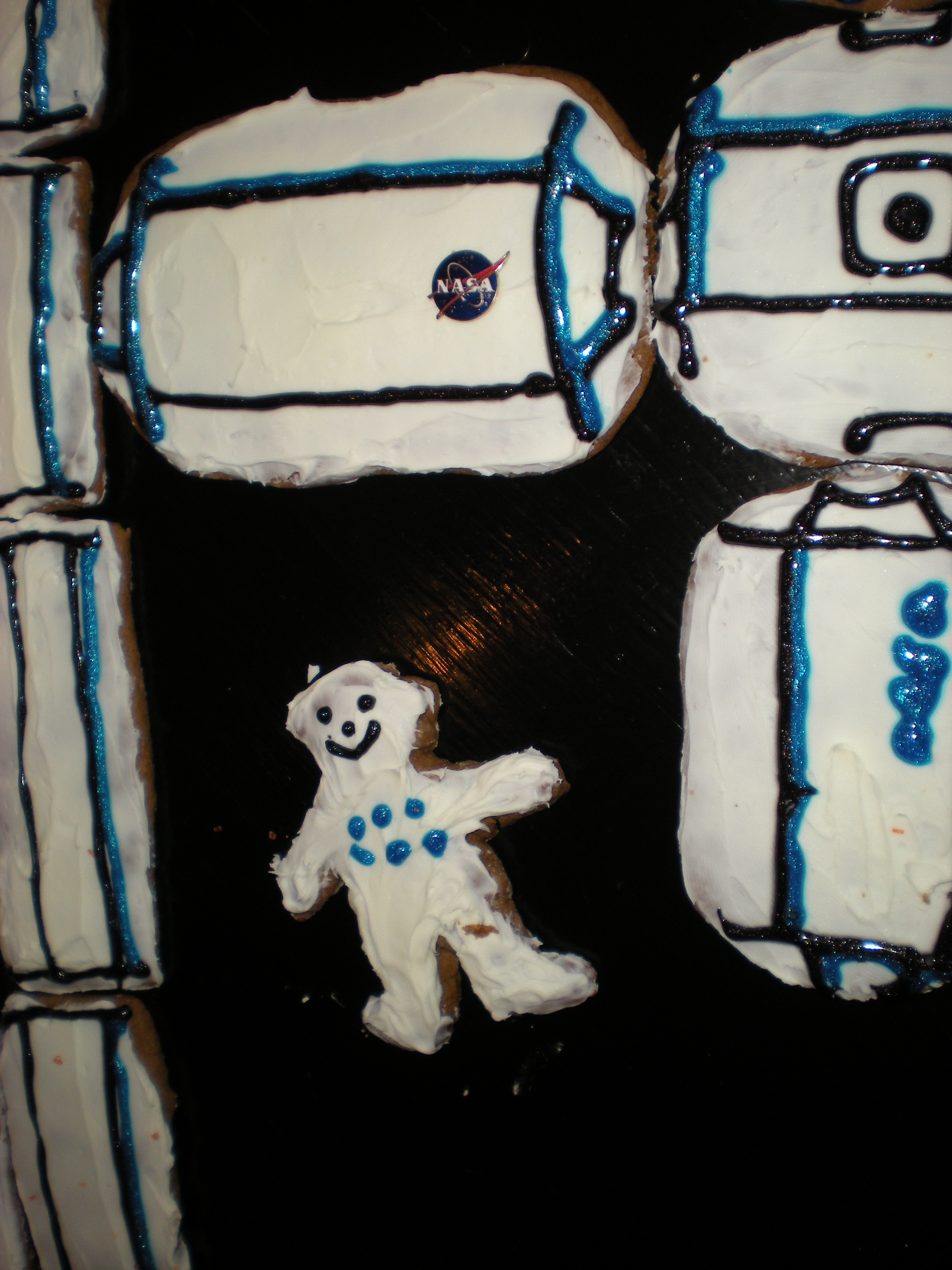 ISS Cookies 024.jpg