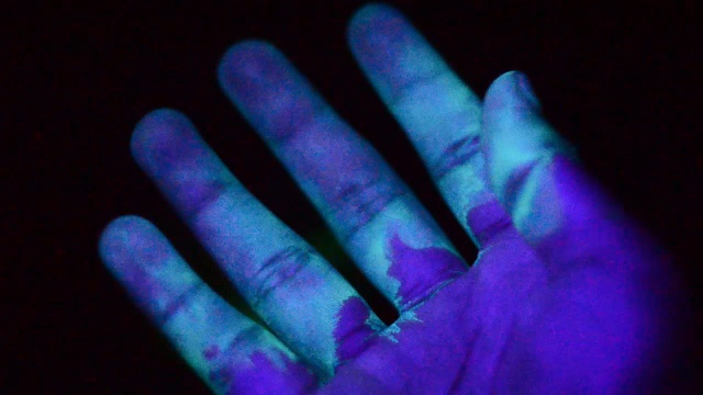Image20.jpg