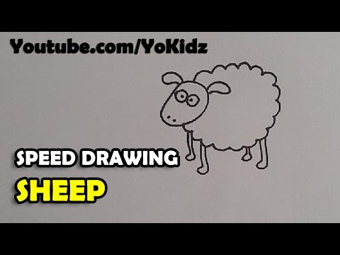 In 30 seconds learn how to draw a cartoon Sheep