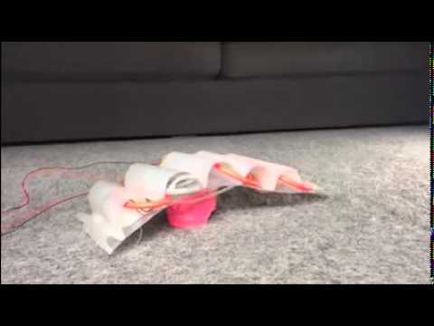 Inch Worm Soft Robot