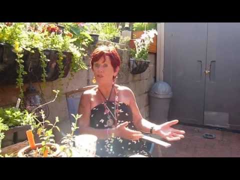 Inclined Bed Therapy Sandra Shares her IBT Healing from Pain, Injury, swelling, arthritis.