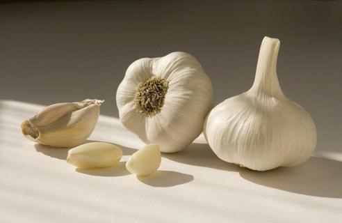 India_Fresh_Garlic1016201052412PM7.jpg