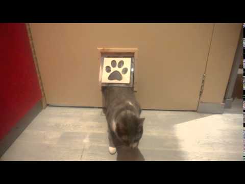 Indoor Pet Flap