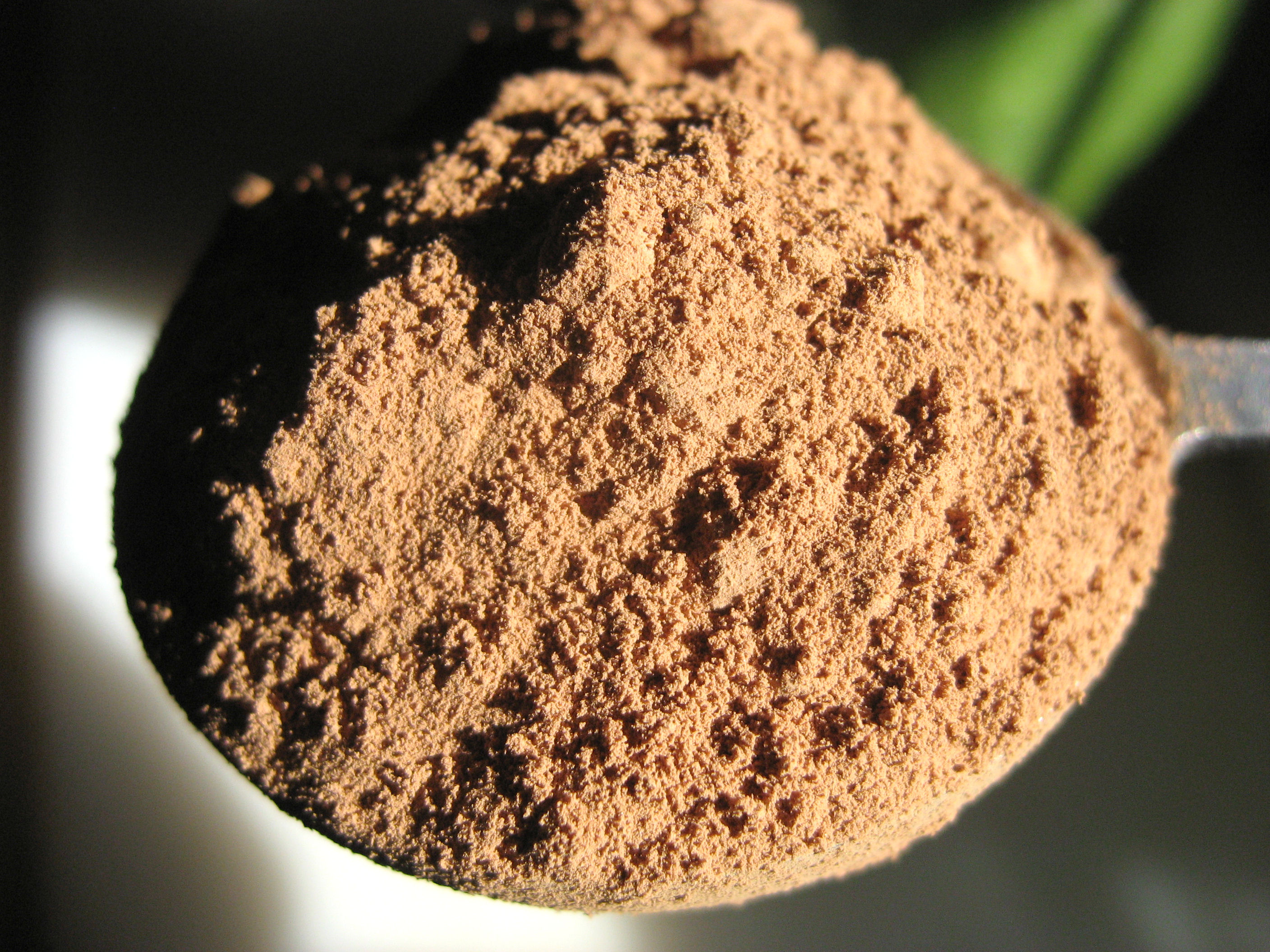 Ingredients - cacao powder.jpg