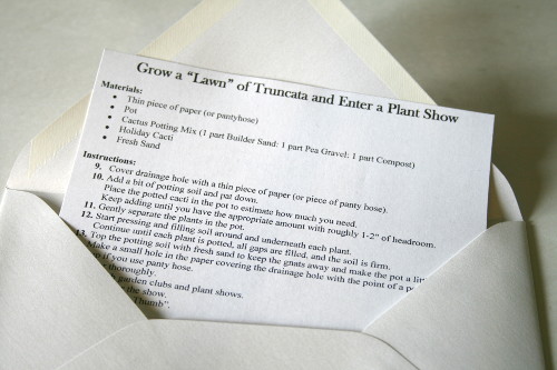 InsertintoEnvelope.jpg