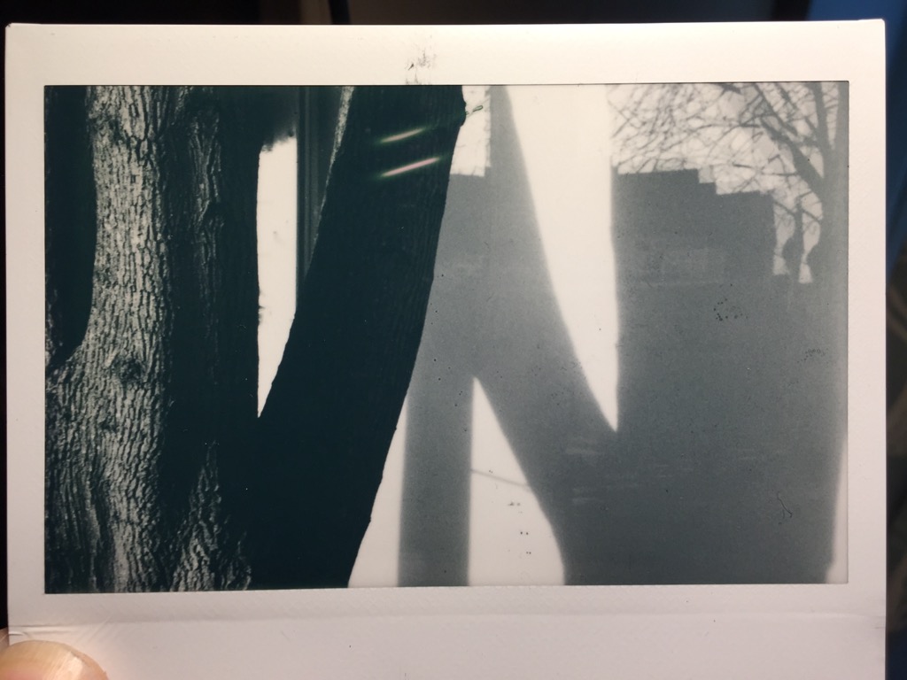 Instax monochrome cabin trees.JPG