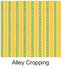 Instructables - Alley Cropping.jpg