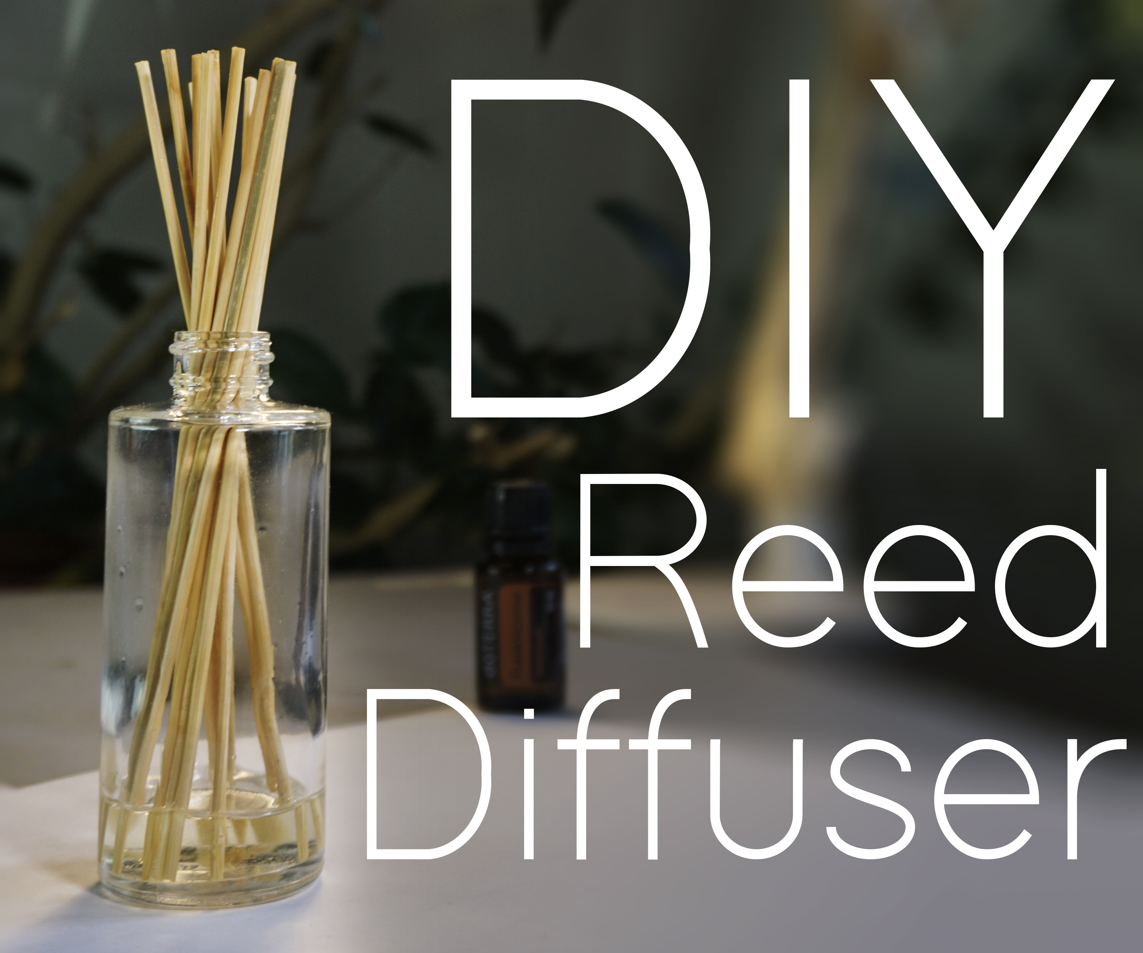 Instructables Reed Diffuser.jpg