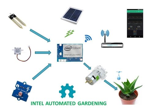 Intel Automated Gardening System