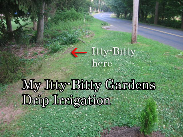 Itty-Bitty Garden.jpg