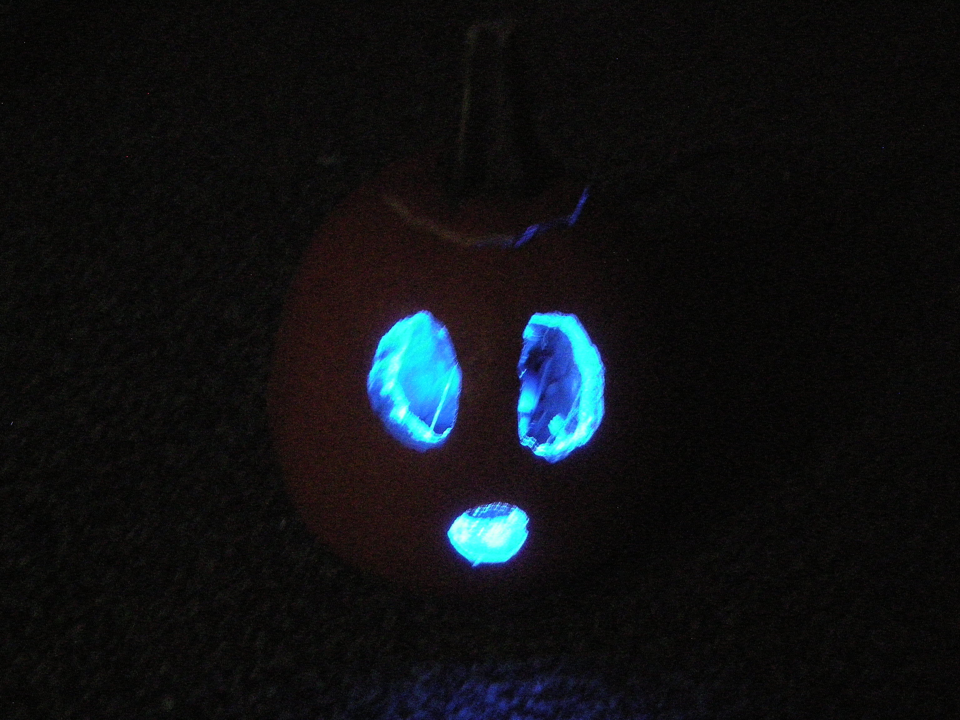 Jack-O-Lantern '08 024.jpg