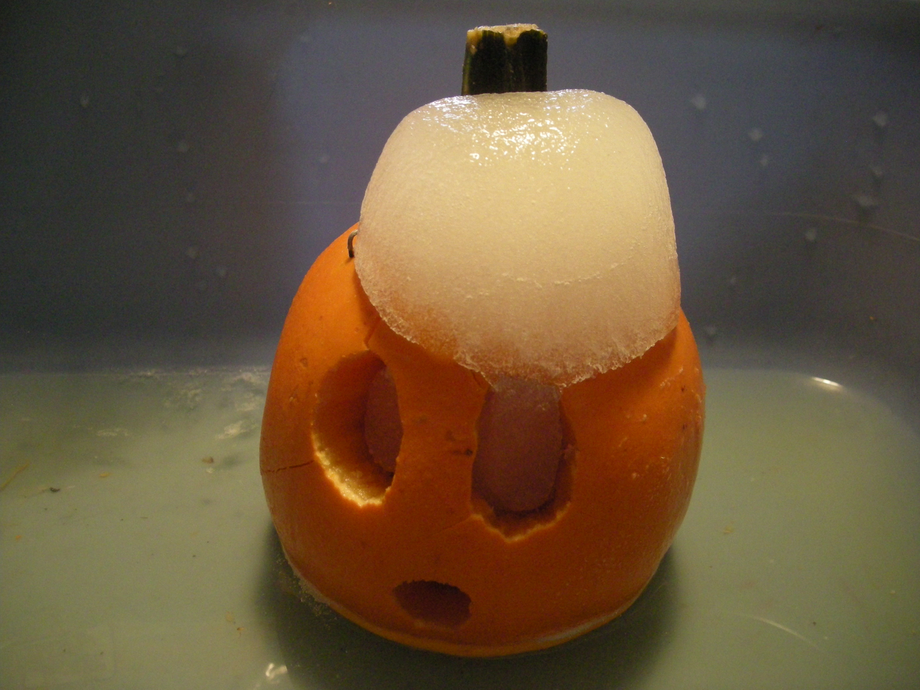 Jack-O-Lantern 2 010.jpg