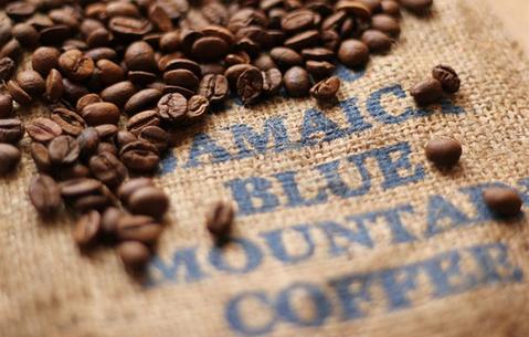 Jamaican-Blue-Mountain-Coffee_large.jpg