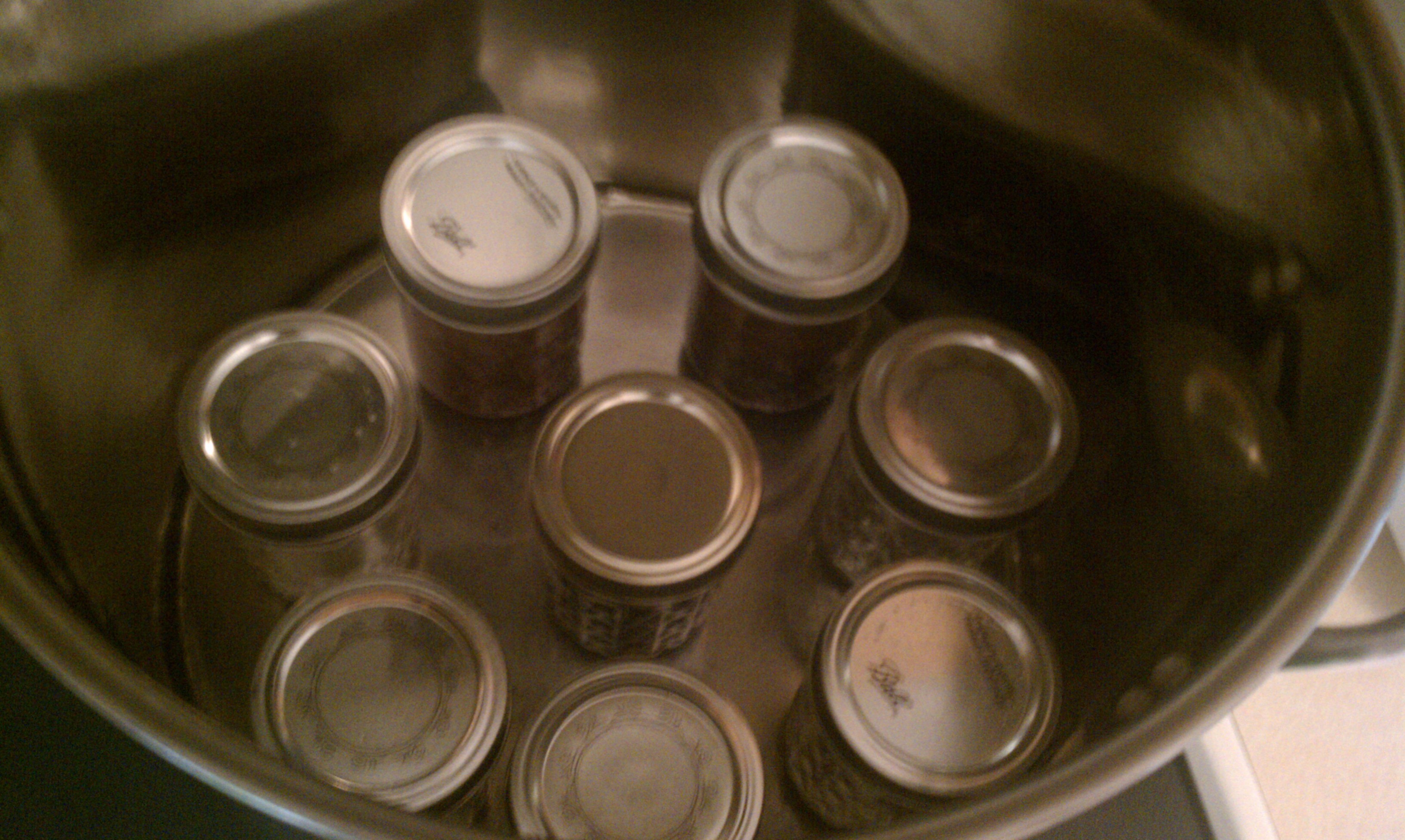 Jars in canner.jpg