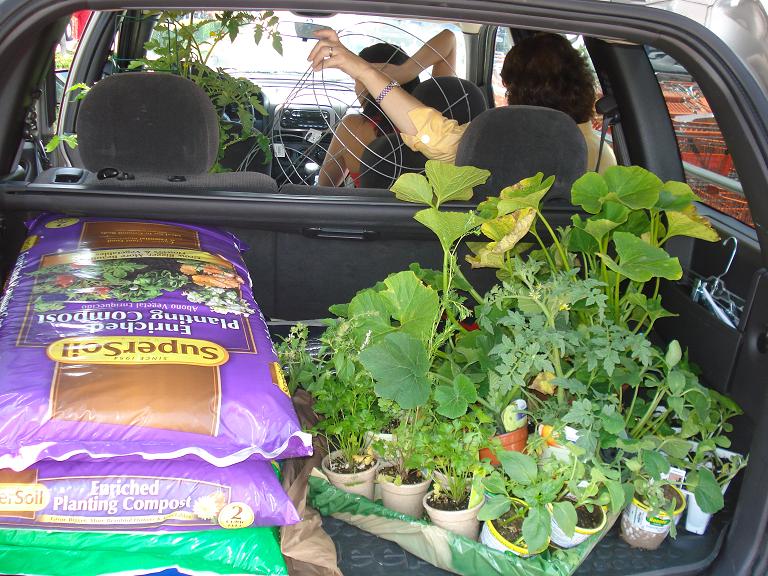 Jeep+Plants+Dirt.JPG