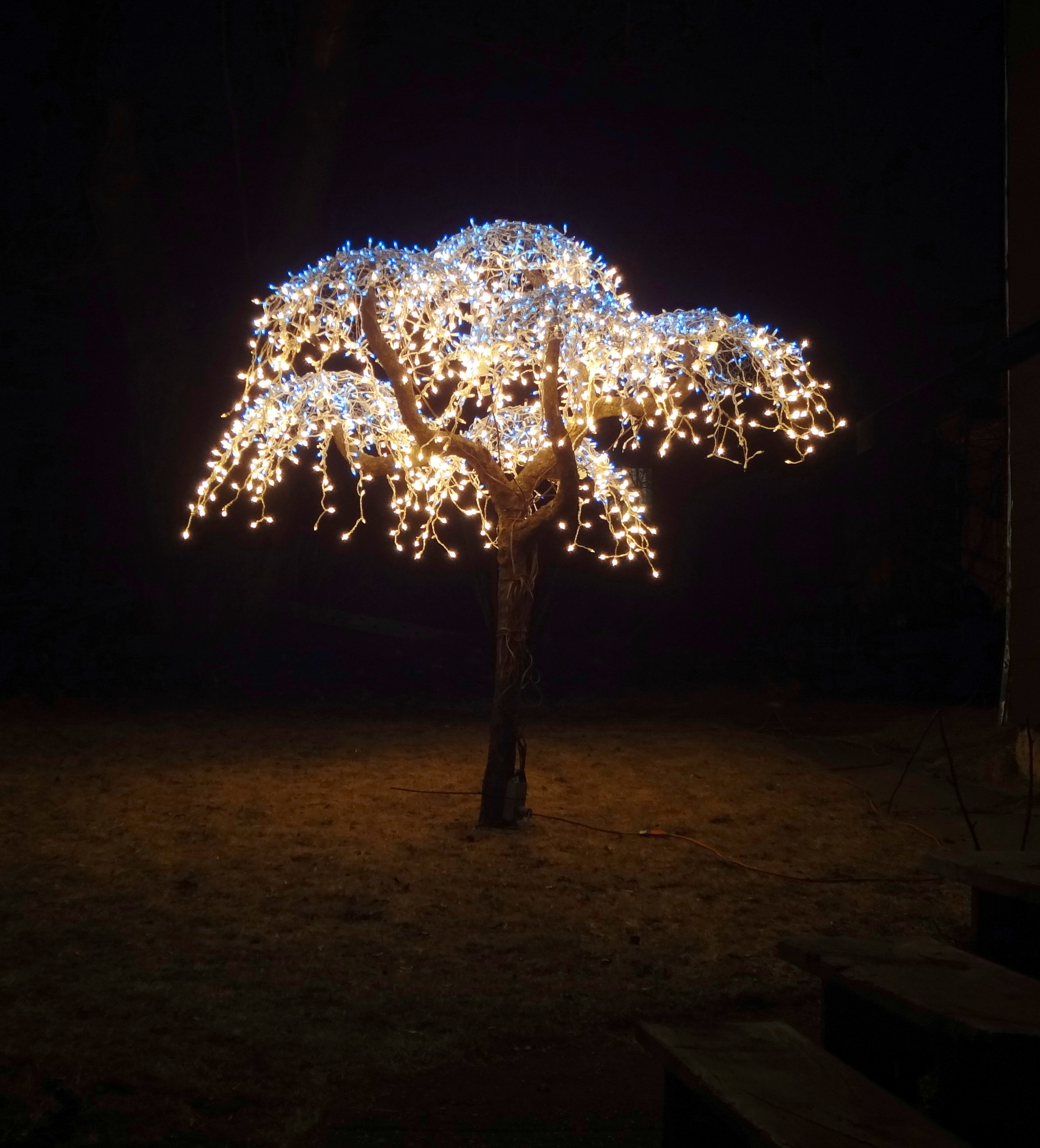 Jeremiah's tree with Uncle Earls lights-p.JPG