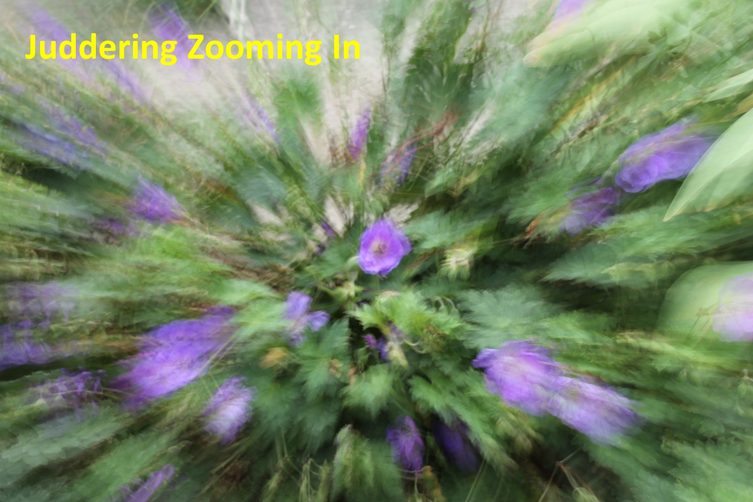 Judder zoom in.png