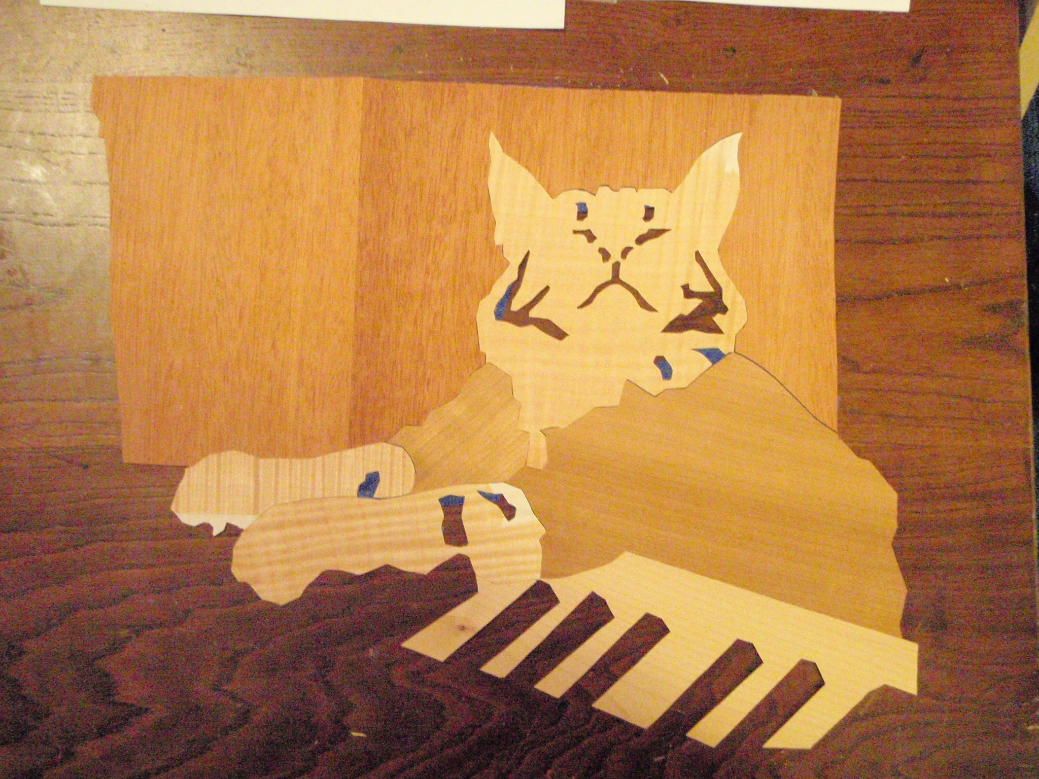 Keyboard Cat half done.JPG