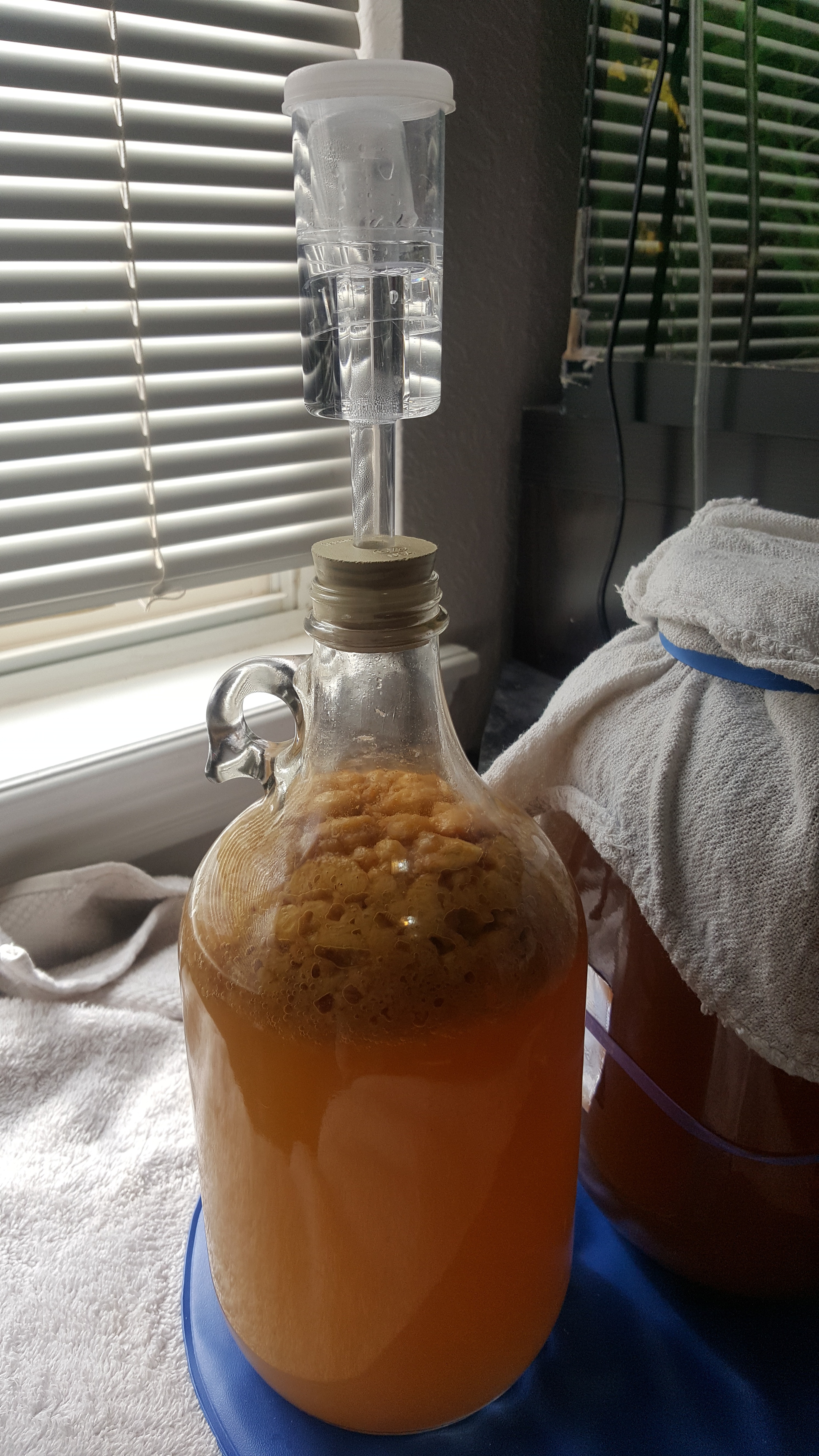 Kombucha_banana.jpg