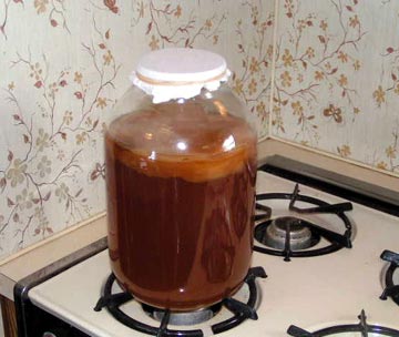 Kombucha_brewing_step4.jpg