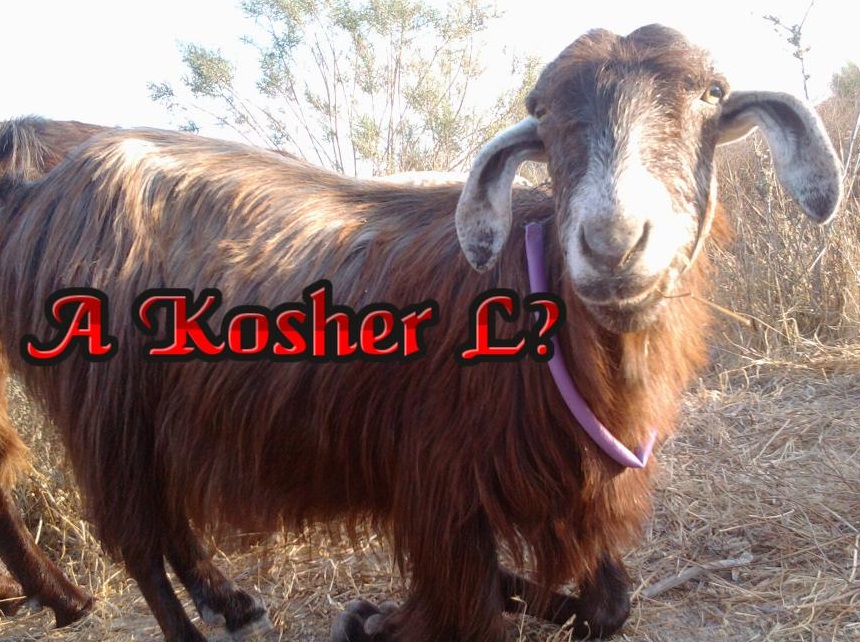 Kosher L.jpg