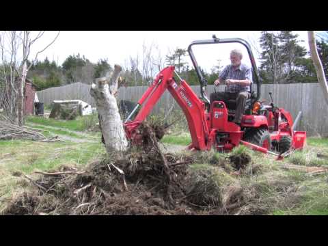 Kubota BX takes out big stump for potato garden