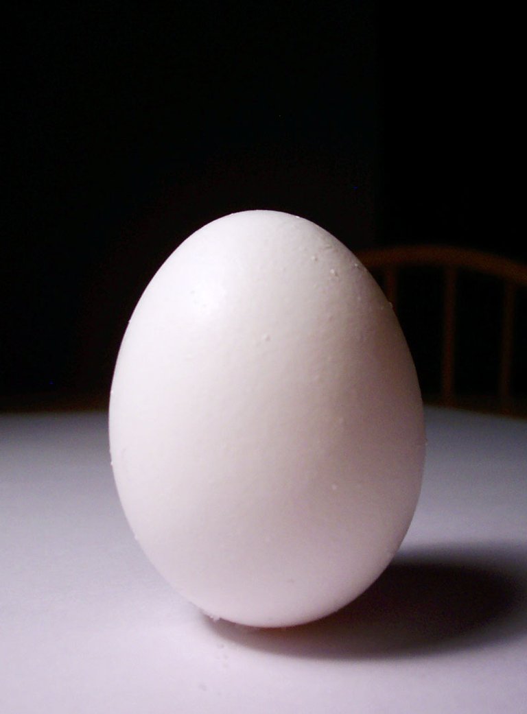 Kyndelfire_Stock__Egg1_by_Kyndelfire_stock.jpg